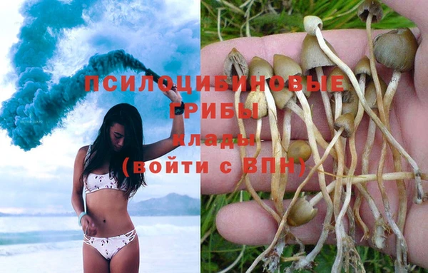 Альфа ПВП Алексин