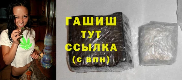 гидра Абаза
