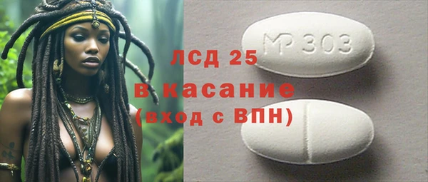 гидра Абаза