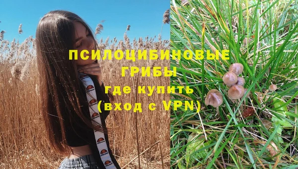 наркотики Алексеевка