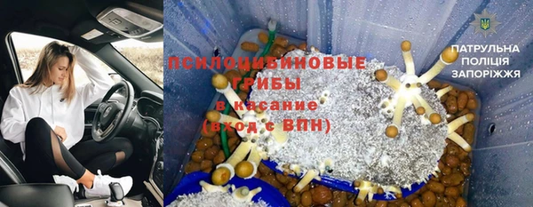 Альфа ПВП Алексин