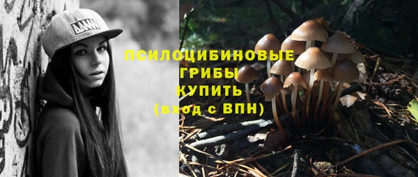 прущие грибы Навашино