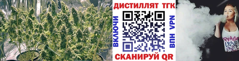 Дистиллят ТГК концентрат  где купить наркоту  Якутск 