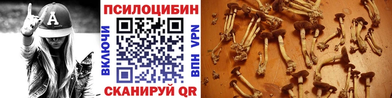 Псилоцибиновые грибы ЛСД  Якутск 