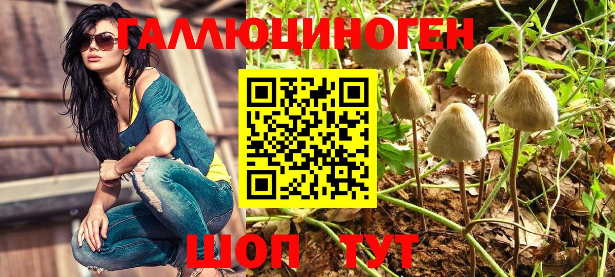 Псилоцибиновые грибы MAGIC MUSHROOMS  Псилоцибиновые грибы Psilocybine cubensis  цены наркотик  Вход с VPN  Якутск 